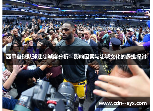 西甲各球队球迷忠诚度分析：影响因素与忠诚文化的多维探讨