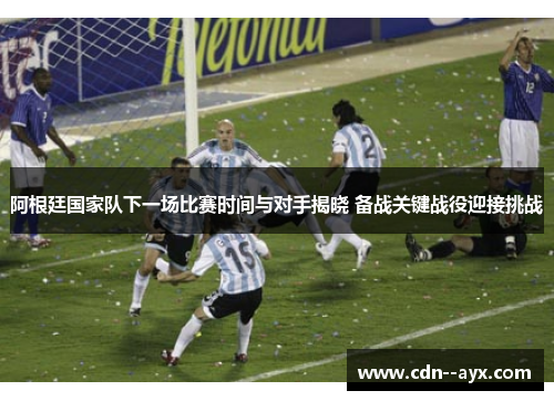 阿根廷国家队下一场比赛时间与对手揭晓 备战关键战役迎接挑战 阿根廷国家队下一场比赛时间与对手揭晓 备战关键战役迎接挑战
