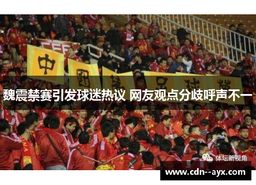 魏震禁赛引发球迷热议 网友观点分歧呼声不一