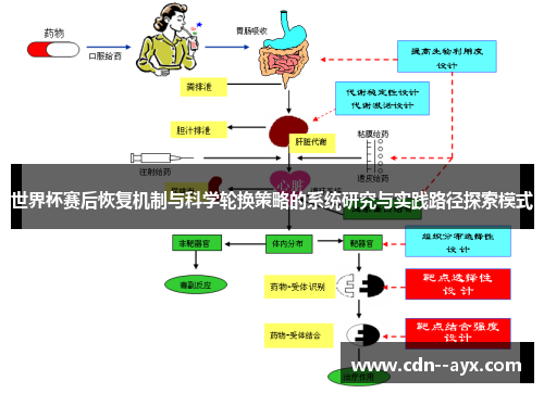 世界杯赛后恢复机制与科学轮换策略的系统研究与实践路径探索模式 世界杯赛后恢复机制与科学轮换策略的系统研究与实践路径探索模式